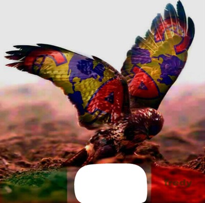 aguila real Montage photo
