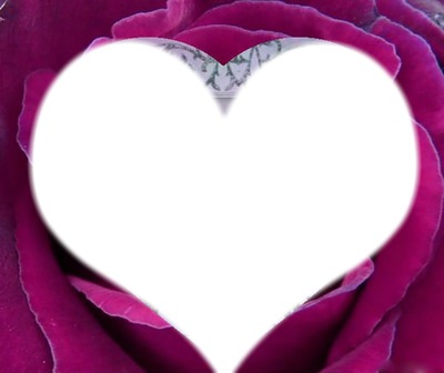 coeur en rose Photo frame effect