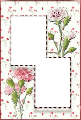 marco y flores rosadas, 2 fotos2. Фотомонтажа