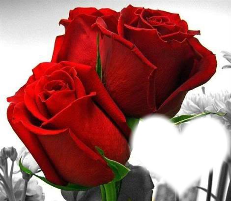 rosas para ti amor Fotomontāža