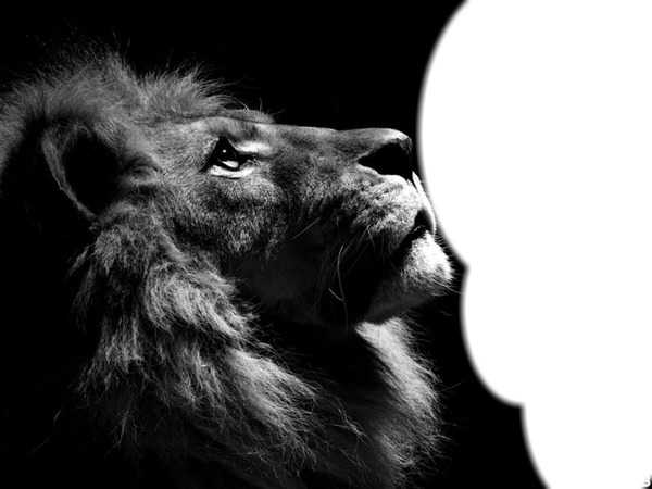 black lion Fotomontasje