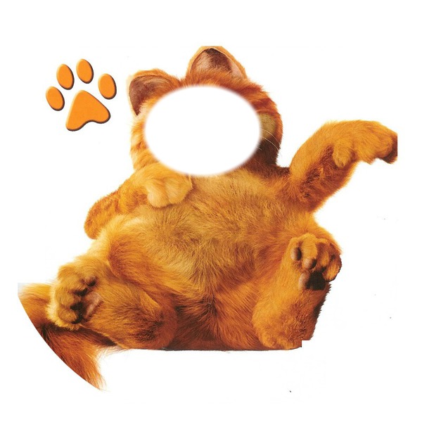 Garfield Fotomontaggio