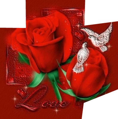 2 roses rouge avec 2 colombes 3 photos Photomontage
