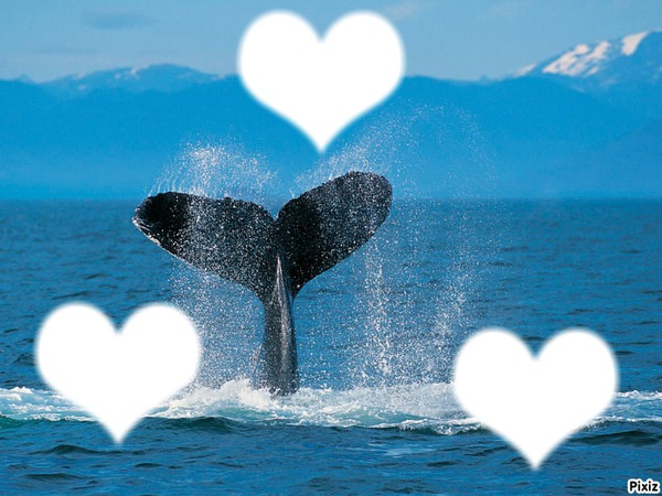 queu de baleine Photomontage