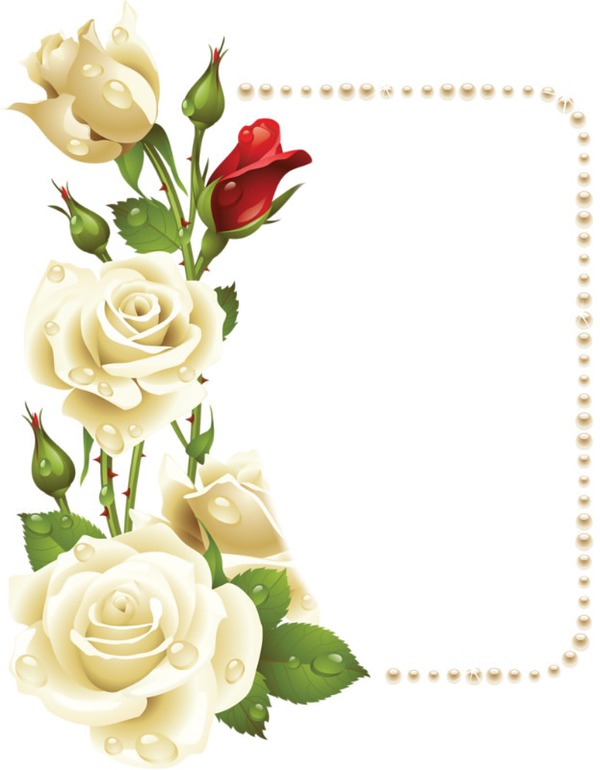 cadre fleur rose Фотомонтажа