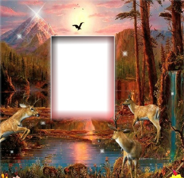 Nature avec animaux Photo frame effect