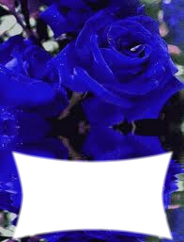 rose bleue Montaje fotografico