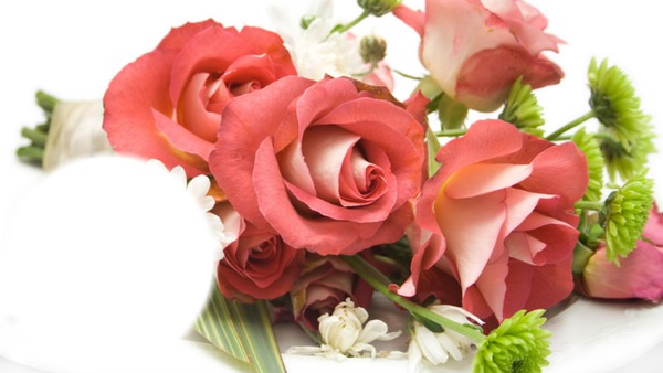 bouquet de roses Photo frame effect