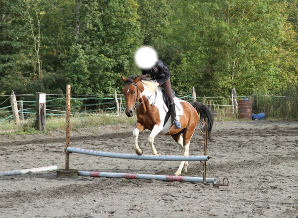 saut a cheval Фотомонтажа