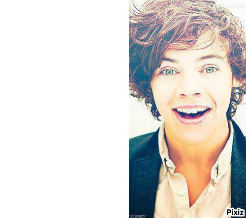 Harry Styles y tu Fotomontage