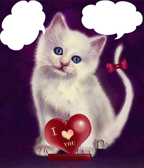 chat blanc avec 1 coeur I LOVE YOU 2 photos フォトモンタージュ