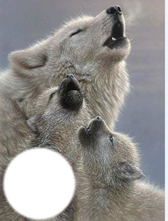 loups Fotomontagem