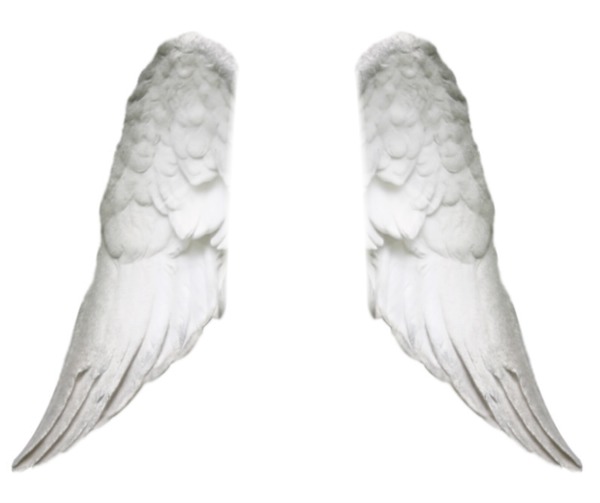 ailes d'ange Fotomontaža