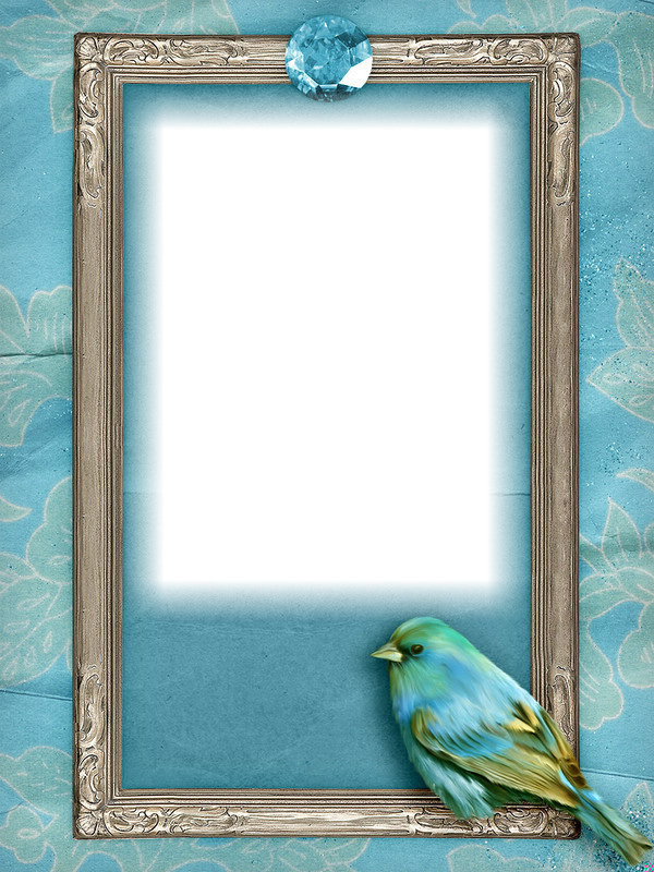 cadre bleu oiseau Fotómontázs