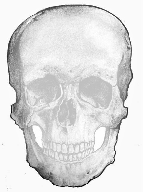 skull Fotomontagem