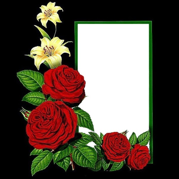 marco verde y rosas rojas, fondo negro. Fotomontáž