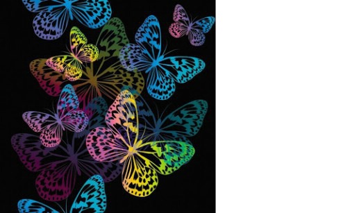 papillons fluorécents 1 photo Fotomontaggio