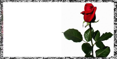 fleure roge Fotomontáž