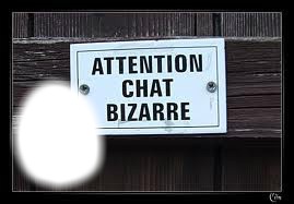 Chat Bizzare Photo frame effect