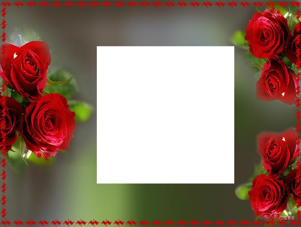 ROSES Montage photo