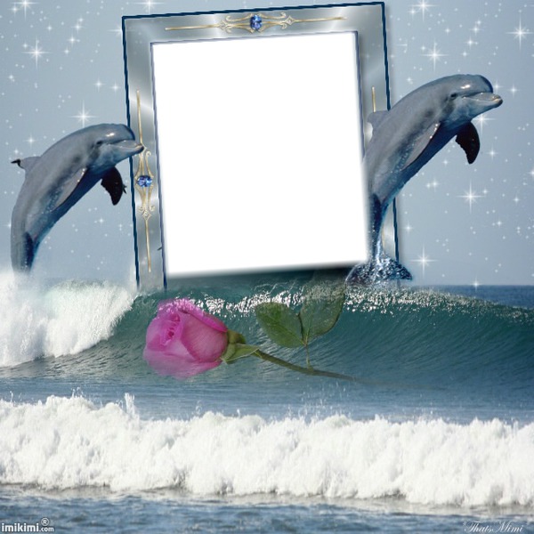 Cadre dauphins Photomontage