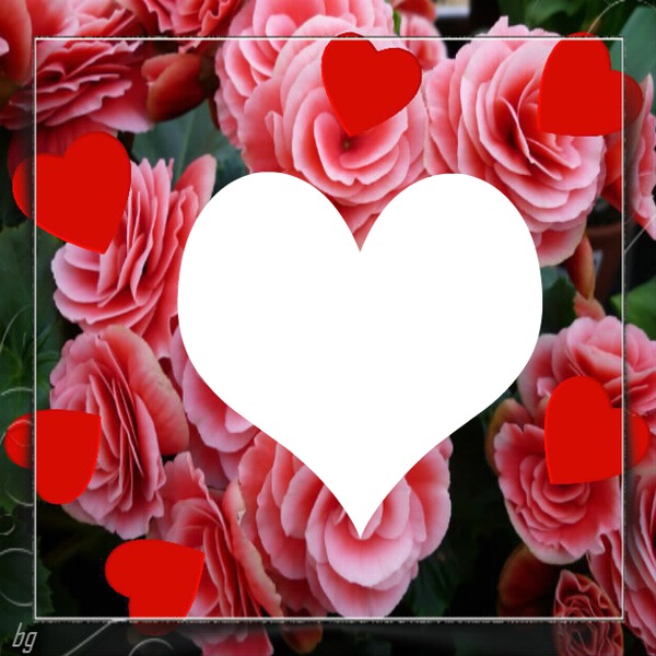 cadre de rose avec coeur Photomontage