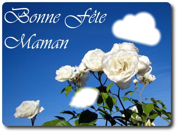 bonne fête maman rose Fotoğraf editörü