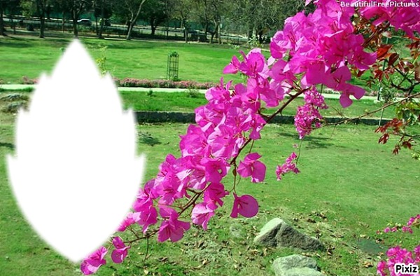 Jardin en fleurs Photomontage