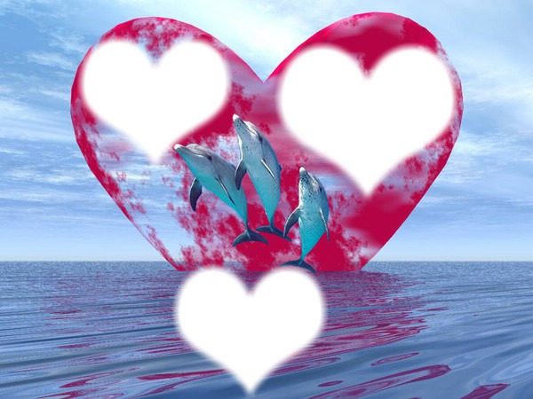 coeur avec trois dauphins フォトモンタージュ