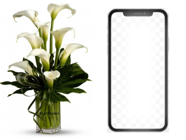 linda flores para ti Photomontage