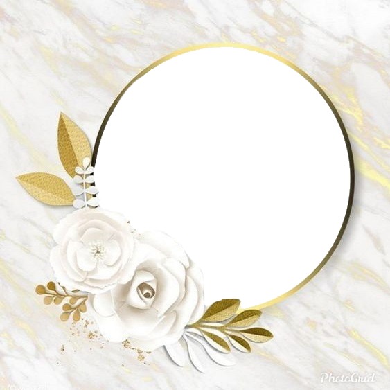 circulo dorado y rosas blancas. Photo frame effect