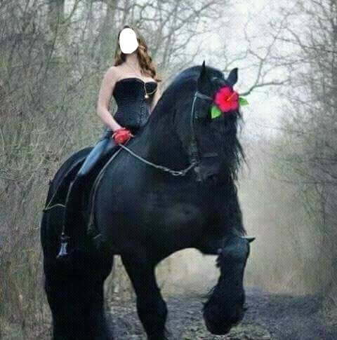 caballo negro Fotomontage