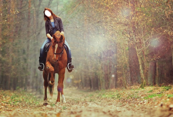 horse Photo frame effect