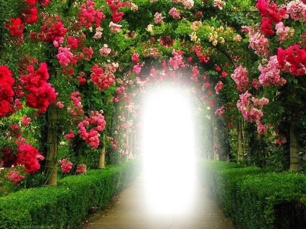 Jardin de Rosas Tunel Fotomontáž