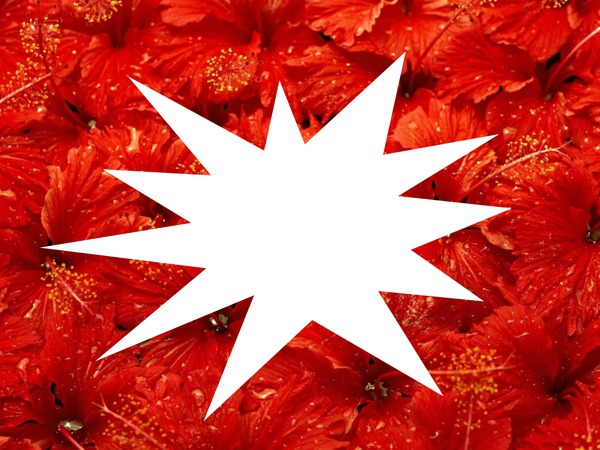flores rojas Fotomontāža