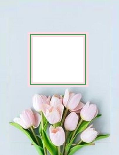 marco y tulipanes rosados. Fotomontagem