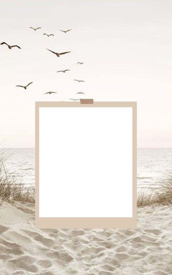 paisaje, aves y mar. Photo frame effect