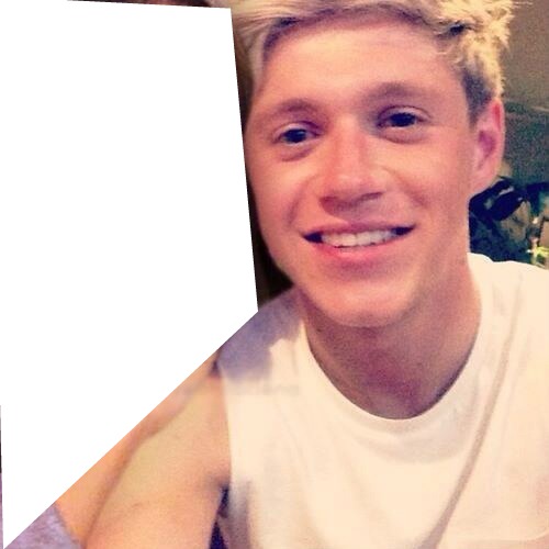 Selfie with Niall Horan Fotomontaggio