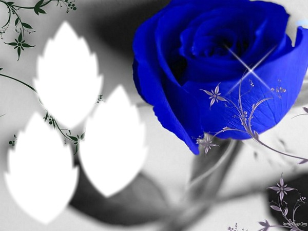 ROSE-BLUE Fotomontāža