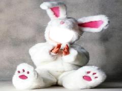 Bebe lapin blanc Photomontage