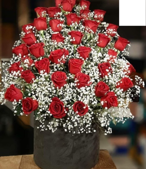 Bouquet de roses Photo frame effect