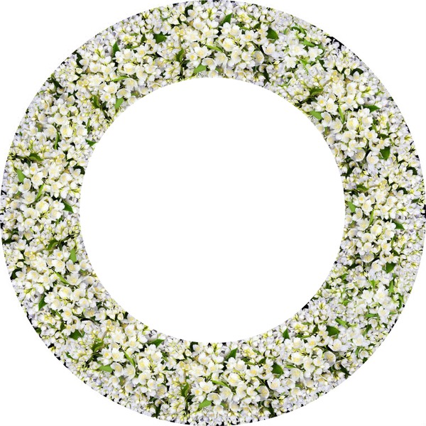 flores blancas Valokuvamontaasi