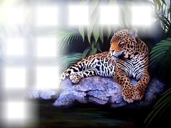 cheeta Fotomontage