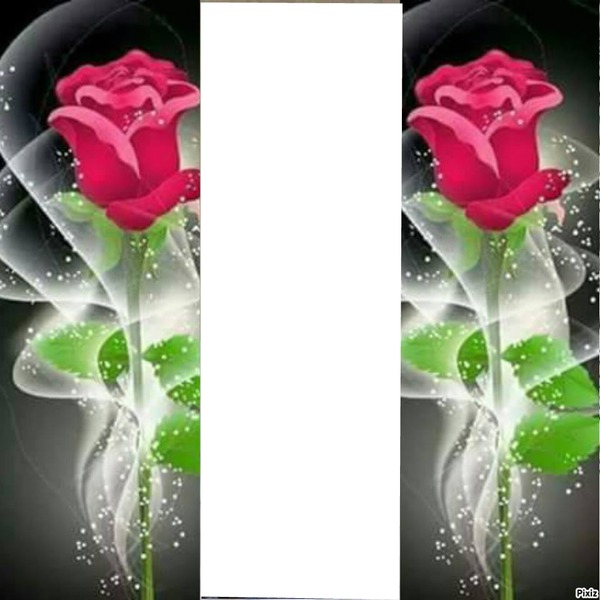 2 roses Photo frame effect