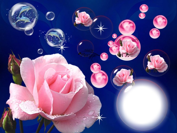 Cadre roses et bulles Фотомонтаж