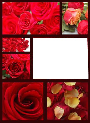 Les Roses Fotomontaż