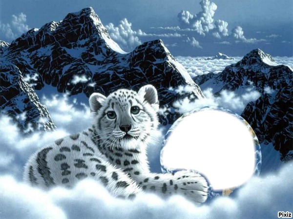 tigre blanc Photo frame effect
