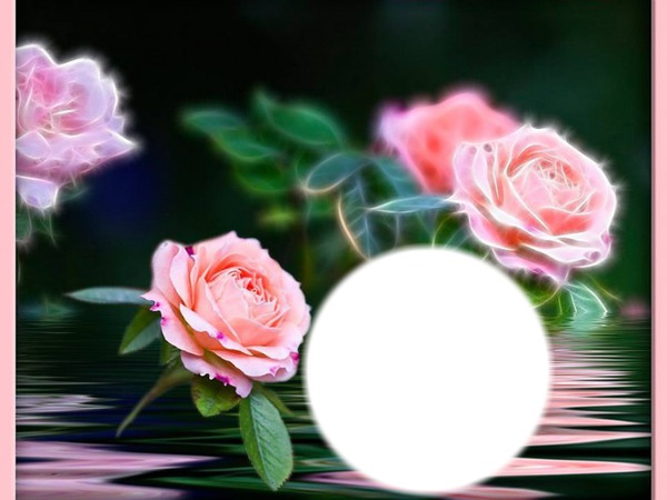 rózsa Fotomontage