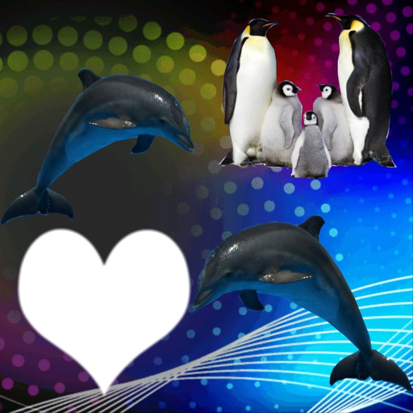 "dolfijn en pinguin" Montaje fotografico