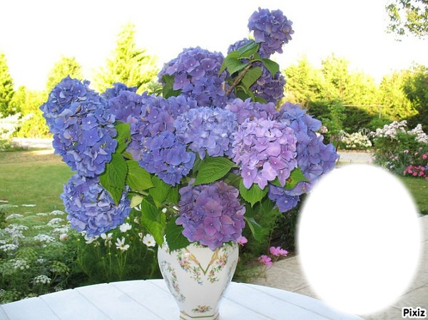 *Trés fleurs bleue* Fotomontage